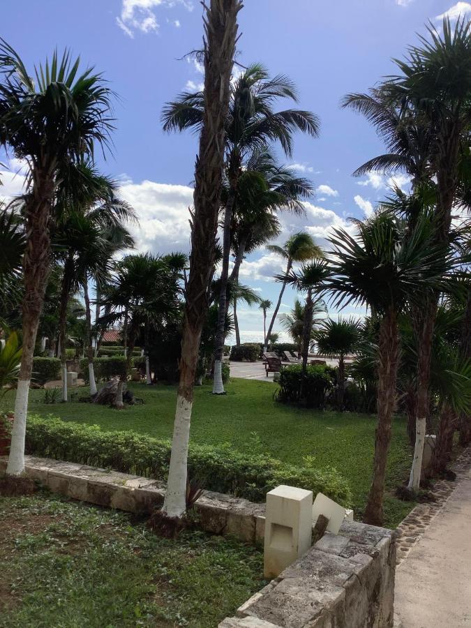 Beachaccess Hotelzone 3705 Cancún Extérieur photo